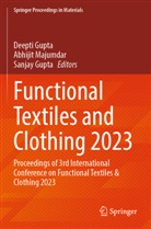 Deepti Gupta, Sanjay Gupta, Abhijit Majumdar - Functional Textiles and Clothing 2023