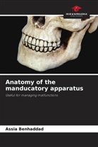 Assia BENHADDAD - Anatomy of the manducatory apparatus