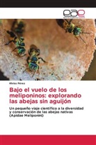 Khriss Pérez - Bajo el vuelo de los meliponinos: explorando las abejas sin aguijón