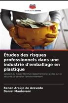 Renan Araújo de Azevedo, Daniel Mantovani - Études des risques professionnels dans une industrie d'emballage en plastique