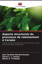 Clovis L. L. Gomes, Ana Carolina Monard Gomes, Nilson S. Trindade - Aspects structurels du processus de reboisement à Carajás