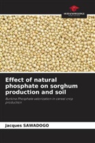 Jacques Sawadogo - Effect of natural phosphate on sorghum production and soil