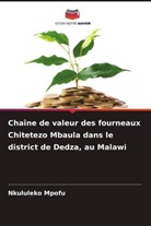 Nkululeko Mpofu - Chaîne de valeur des fourneaux Chitetezo Mbaula dans le district de Dedza, au Malawi