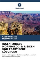 MEZIANI Brahim, GADOURI Hamid - INGENIEURGEO-MORPHOLOGIE: RISIKEN UND PRAKTISCHE LÖSUNGEN
