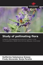 Fredy Alexander Borja Peralta, Guillermo Salamanca Grosso - Study of pollinating flora