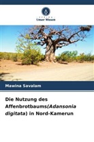 Mawina Savalam - Die Nutzung des Affenbrotbaums(Adansonia digitata) in Nord-Kamerun