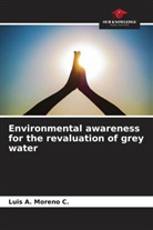 Luis A. Moreno C. - Environmental awareness for the revaluation of grey water