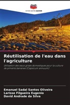 Larisse  Filgueira Eugenio, Larisse Filgueira Eugenio, Emanuel Sadal Santos Oliveira, David Andrade da Silva - Réutilisation de l'eau dans l'agriculture