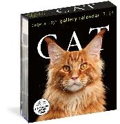 Workman Calendars, Workman Calendars - Cat Gallery Calendar 2026 Page-a-Day Calendar