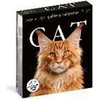 Workman Calendars - Cat Gallery Calendar 2026