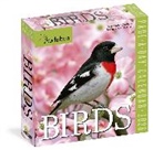 Workman Calendars, National Audubon Society, National Audubon Calendars Society - Audubon Birds 2026