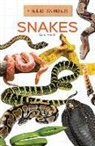 Carol Hand - Snakes