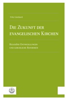 Fritz Lienhard - Die Zukunft der evangelischen Kirchen