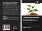 Nkululeko Mpofu - Catena del valore delle stufe Chitetezo Mbaula nel distretto di Dedza, Malawi