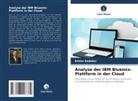 Ermin Sadulov - Analyse der IBM Bluemix-Plattform in der Cloud