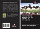 Herilalaina Olivier ANDRIANTSOA - MODELLAZIONE NUMERICA DI UN SISTEMA DI IRRIGAZIONE