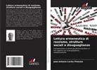 Jose Antonio Carlos  Pimenta, Jose Antonio Carlos Pimenta - Lettura ermeneutica di razzismo, strutture sociali e disuguaglianze