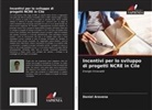 Daniel Aravena - Incentivi per lo sviluppo di progetti NCRE in Cile