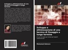 Mohamed Hebrara - Sviluppo e ottimizzazione di una tecnica di fissaggio a lungo termine