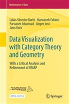 Lukas Silvester Barth, Hannaneh Fahimi, Joharinad, Parvaneh Joharinad, Jürgen Jost, Janis Keck - Data Visualization with Category Theory and Geometry