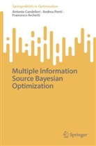 France Archetti, Francesco Archetti, Antonio Candelieri, Andrea Ponti - Multiple Information Source Bayesian Optimization