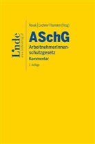 Andrea Lechner-Thomann, Renate Novak - ASchG | ArbeitnehmerInnenschutzgesetz