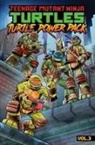 Dario Brizuela, Erik Burnham, Dean Clarrain, Tim Lattie, Jim Lawson - Teenage Mutant Ninja Turtles: Turtle Power Pack, Vol. 3
