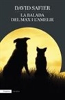 David Safier - La balada del Max i l'Amelie