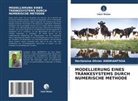 Herilalaina Olivier ANDRIANTSOA - MODELLIERUNG EINES TRÄNKESYSTEMS DURCH NUMERISCHE METHODE