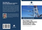 Juliano de Faria Andrade - Die Folgen der elektromagnetischen Strahlung für das menschliche Leben