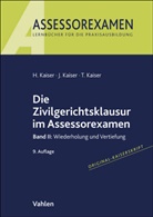 Horst Kaiser, Jan Kaiser, Torsten Kaiser - Die Zivilgerichtsklausur im Assessorexamen