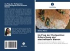 Khriss Pérez - Im Flug der Meliponine: Erforschung der stachellosen Bienen