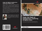 Khriss Pérez - Under the flight of meliponines: exploring stingless bees