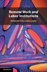 Julia (Universitat Pompeu Fabra (Barc Lopez Lopez, Julia López López - Remote Work and Labor Institutions