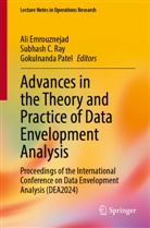 Subhash C Ray, Ali Emrouznejad, Gokulnanda Patel, Subhash C. Ray - Advances in the Theory and Practice of Data Envelopment Analysis