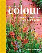 Powell Ann-Marie, Julie Skelton - A Year of Colour