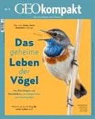 Jürgen Schaefer, Katharina Schmitz - GEOkompakt - 75/2023: GEOkompakt / GEOkompakt 75/2023 - Das geheime Leben der Vögel