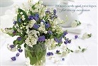 Peony Press - Card Box of 20 Notecards and Envelopes: Forget-Me-Nots