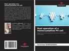 Dominique Bonkoungou - Dual operation of a monocrystalline PV cell