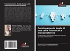 Dominique Bonkoungou - Funzionamento duale di una cella fotovoltaica monocristallina