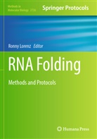 Ronny Lorenz - RNA Folding
