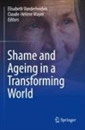 Mayer, Claude-Hélène Mayer, Elisabeth Vanderheiden - Shame and Ageing in a Transforming World