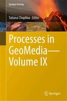 Tatiana Chaplina - Processes in GeoMedia-Volume IX