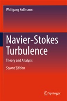 Wolfgang Kollmann - Navier-Stokes Turbulence