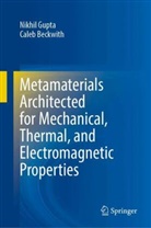 Caleb Beckwith, Nikhil Gupta - Architected Metamaterials: Design Principles and Properties