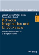 Deborah Cuccia, Michael Gehler, Markus Koller - Between Imagination and Effectiveness