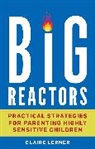 Claire Lerner, Lerner Claire - Big Reactors