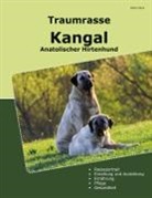 Alpay Kaya - Traumrasse Kangal