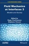 Roger Prudhomme, Stephane Vincent - Fluid Mechanics at Interfaces 3