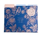 Insight Editions - Jane Austen: File Folder Set: Set of 9